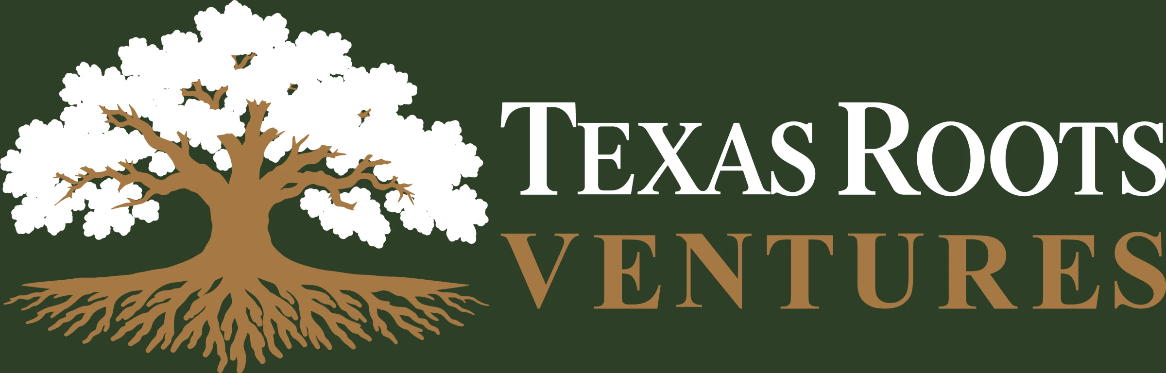 Simplified Texas Roots Ventures artwork prepared for embroidery